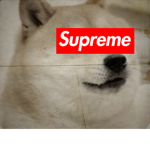 Dogeys United