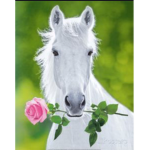 Majestic Horses