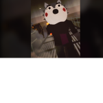 Poncho's Piggy Fan Group