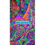 Daily questions posted in the morning