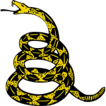 International Conservative Association
