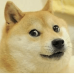 Doge is awesom