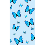 The Butterfly’s! <3