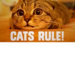 CatsWillRule