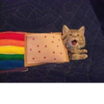 Nyan_Cat Studio