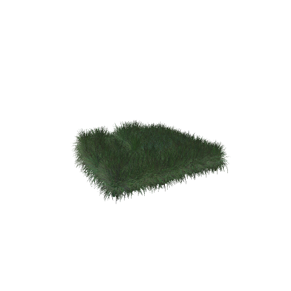 Grass