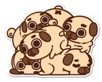 Puglie fans!