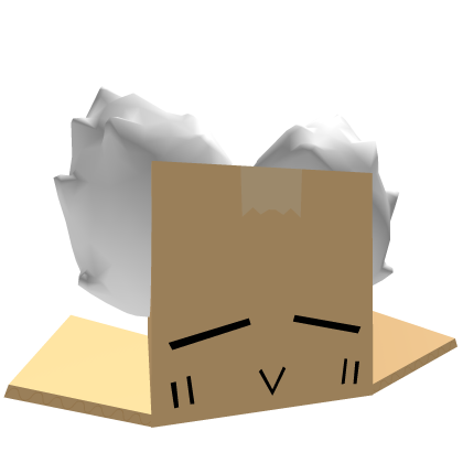 Cardboard Box Furry Cat