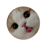 ᅠᅠᅠᅠᅠᅠᅠᅠᅠᅠᅠᅠᅠᅠᅠᅠ
