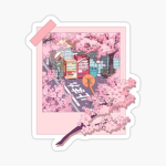 • さくら•