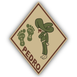 38th Rescue Squadron (Detachment 4)