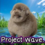 Project wave§