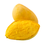 Mango xd