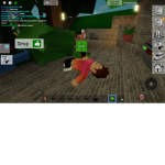 Rule Roblox...