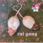 **rat gang**