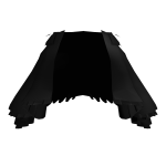 Black Transparent Train Skirt