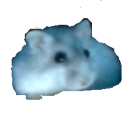 Find the Tóp Tuś