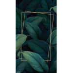 The Leaves Official group