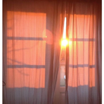 SunnyVibez