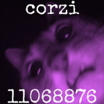 £ corzi