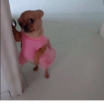 Watermelons Olivia