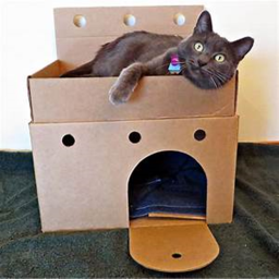 Cat Castle