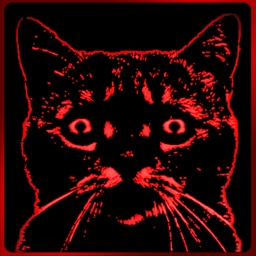 Kittyland Test server icon