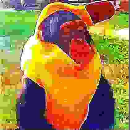 boboux obby