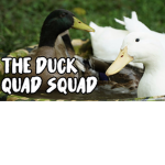 THE DUCK SQUAD IS HERE