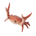 CRAB!