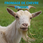 Fromage de chèvre studios