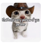 Roblox Silk Road