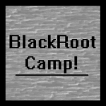 B.R. Camp!