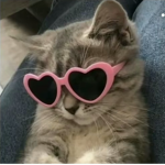 Slaykitten
