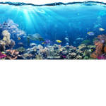 Ocean Islands