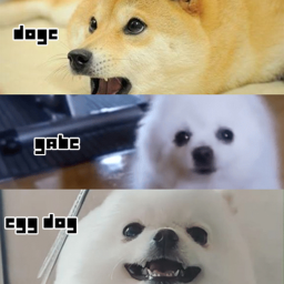 The Super Doge's Place!