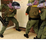Axolotl military group