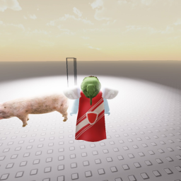 roblox arena