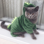 XxkittydinoxX
