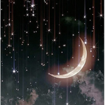 -moon.life-