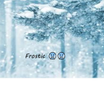 Frostic Clothing