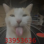 iiiixo