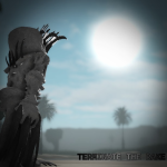 ☀️Terminate the rake SUMMER ☀️