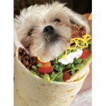 BarkingBorritosClub