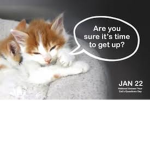 Kittens Meow to