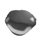 Rockle