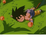 ZFighterss
