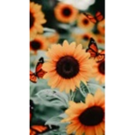 Sunflower Squad!!!!!!!!!!!!