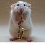 The Jaz Rats