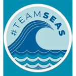 TeamSeas Clean Up